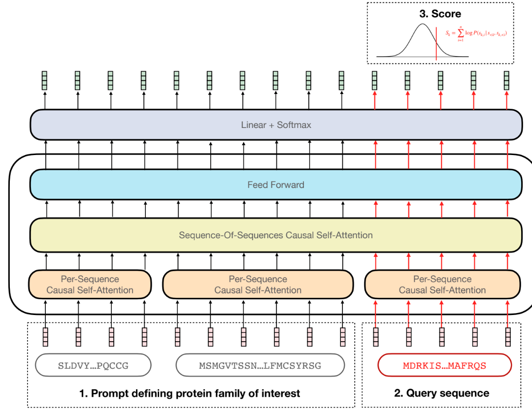 Diagram showing PoET's novel Transformer layer combining per-sequence and sequence-of-sequences attention